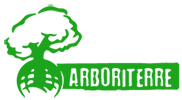 Arboritterre